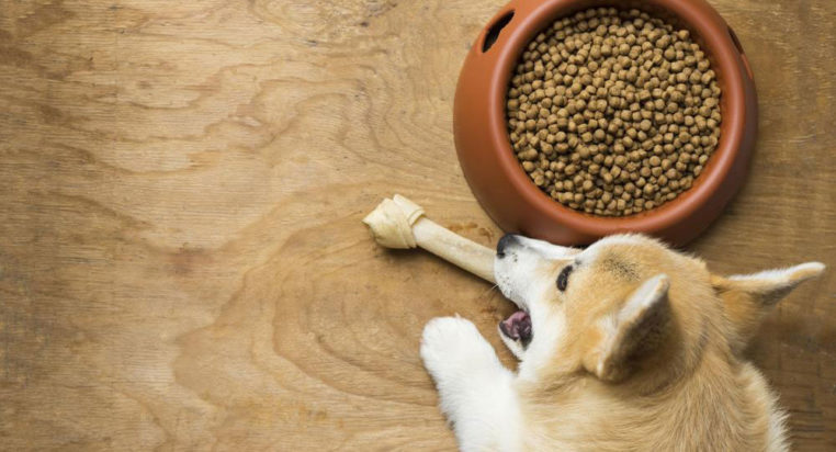3 best dog foods for sensitive stomach