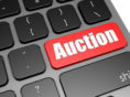 A glance at the popular car auction websites