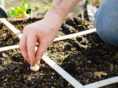 Essential tools to make gardening easy and effective