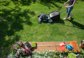Lawnmowers Worth Buying During Sales