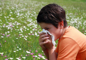 Signs of pollen allergies one should know about