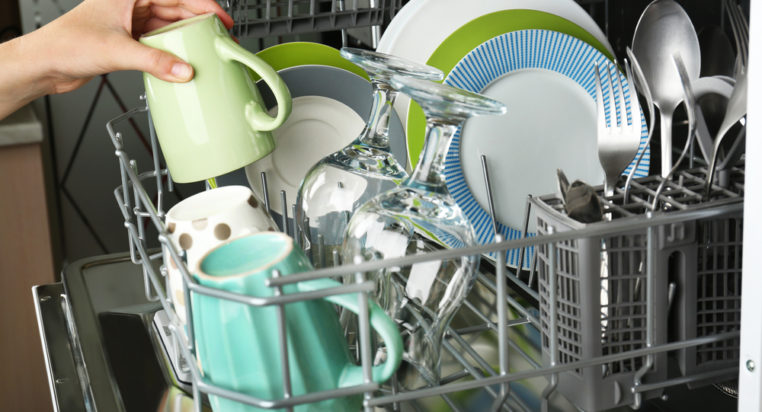 Tips to Keep Your Dishwasher Free from Fungi and Yeast
