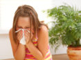 Tips to prevent allergies from three primary sources