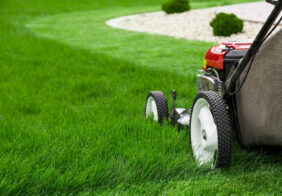 5 lawn care tips to maintain a lush green yard